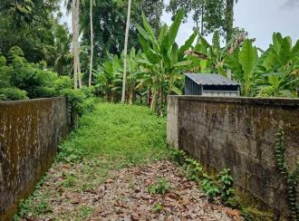 Commercial Land for Sale in Alleppey, Mavelikara, Mavelikkara