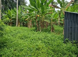 Commercial Land for Sale in Alleppey, Mavelikara, Mavelikkara