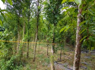 Commercial Land for Sale in Ernakulam, Puthencruz, Karimugal
