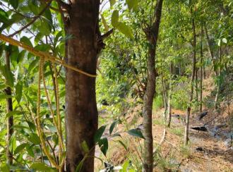 Commercial Land for Sale in Ernakulam, Puthencruz, Karimugal