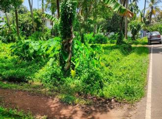Residential Land for SaleErnakulam, Paravur, Puthenvelikkara
