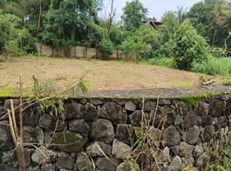 Residential Land for SaleThrissur, Thrissur, Palakkal