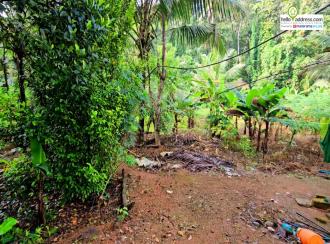 Residential Land for Sale in Kottayam, Pala, Marangattupilly