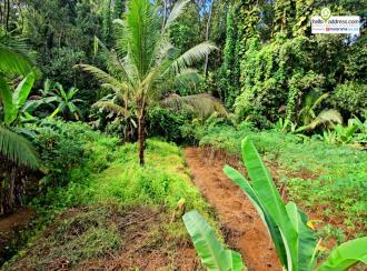 Residential Land for Sale in Kottayam, Pala, Marangattupilly