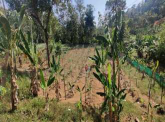 Residential Land for Sale in Pathanamthitta, Malayalapuzha, Thazham
