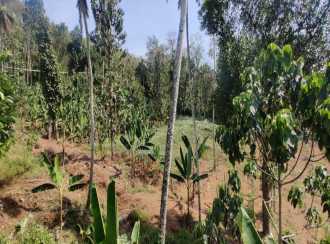Residential Land for Sale in Pathanamthitta, Malayalapuzha, Thazham