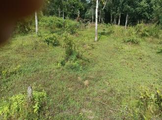 Residential Land for Sale