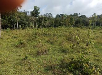 Residential Land for Sale in Wayanad, Mananthavady, Dasanakara