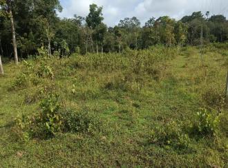 Residential Land for Sale in Wayanad, Mananthavady, Dasanakara