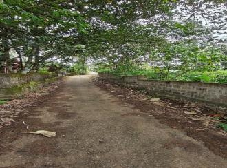 Residential Land for SalePathanamthitta, Pandalam, Pandalam