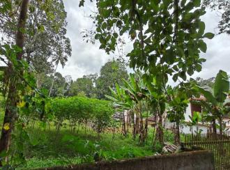Residential Land for Sale in Pathanamthitta, Pandalam, Pandalam