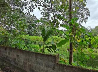 Residential Land for Sale in Pathanamthitta, Pandalam, Pandalam