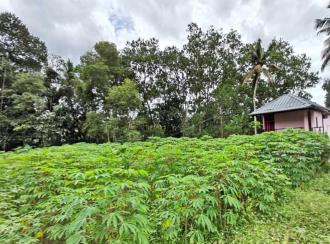 Residential Land for Sale in Pathanamthitta, Pandalam, Pandalam