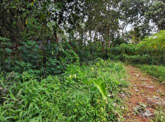 Residential Land for Sale in Pathanamthitta, Pandalam, Pandalam