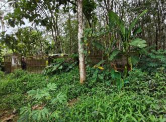 Residential Land for Sale in Pathanamthitta, Pandalam, Pandalam