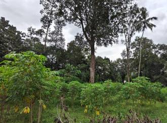 Residential Land for Sale in Pathanamthitta, Pandalam, Pandalam