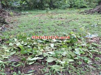 Residential Land for SaleKollam, Karunagapally, Manappally