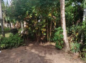 Residential House Villa for Sale in Alleppey, Mavelikara, Thattarambalam