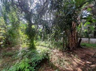 Residential House Villa for Sale in Alleppey, Mavelikara, Thattarambalam