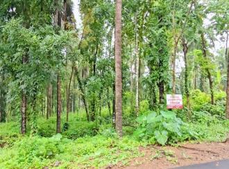 Residential Land for Sale in Kasargod, Kasargod town, Rajapuram