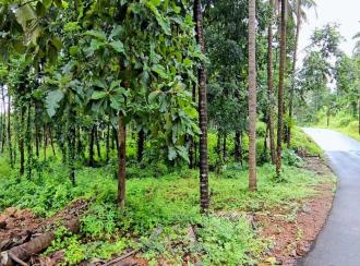 Residential Land for Sale in Kasargod, Kasargod town, Rajapuram