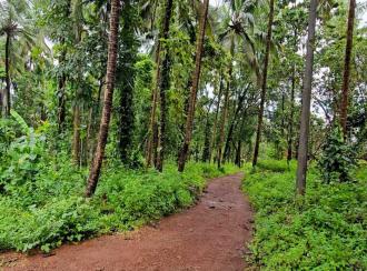 Residential Land for Sale in Kasargod, Kasargod town, Rajapuram