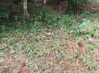 Residential Land for Sale in Kozhikode, Balussery, Balussery