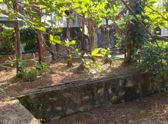 Commercial Office for Rent in Trivandrum, Thiruvananthapuram, Kumarapuram