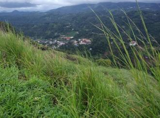 Commercial Land for Sale in Idukki, Kattappana, Thankamani