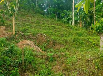 Residential House Villa for Sale in Kannur, Thaliparamba, Sreekandapuram, irkkur