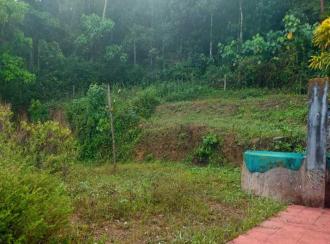 Residential House Villa for Sale in Kannur, Thaliparamba, Sreekandapuram, irkkur