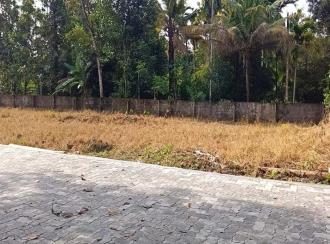 Residential Land for SaleErnakulam, Angamaly, Angamaly