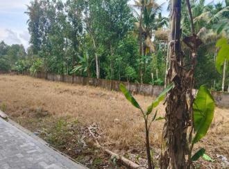 Residential Land for Sale in Ernakulam, Angamaly, Angamaly