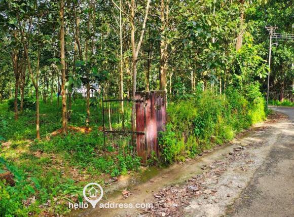 Commercial Land for Sale