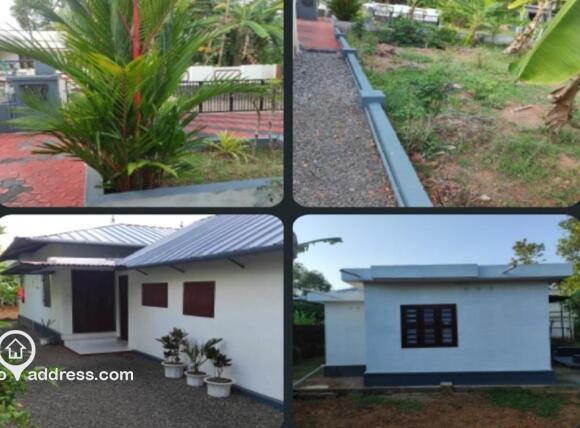 Residential House Villa for Rent