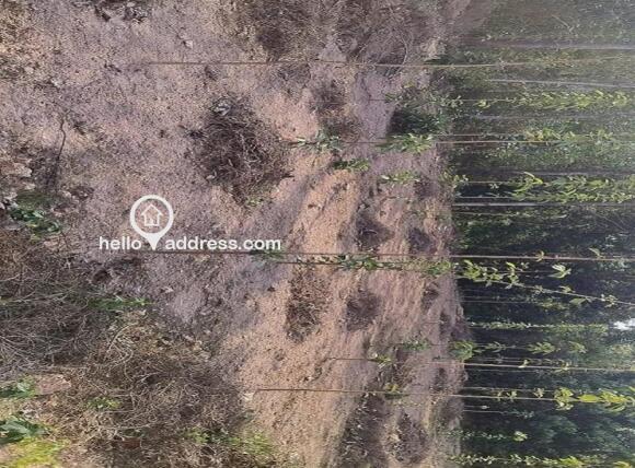 Residential Land for Sale