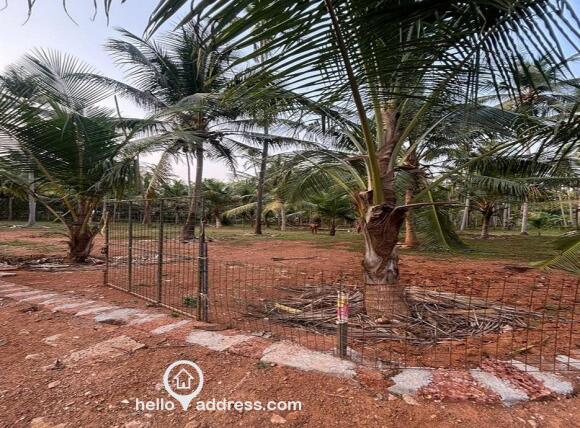 Residential Land for Sale