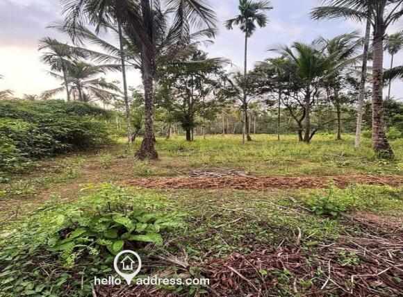 Agricultural Land for Sale