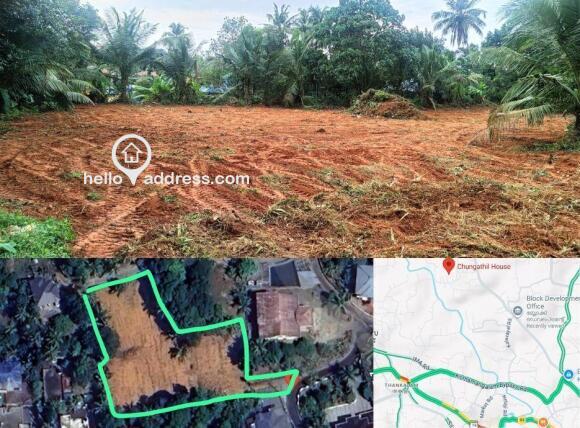 50 cent For immediate Sale