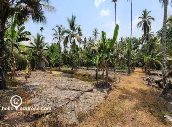 Residential Land for Sale