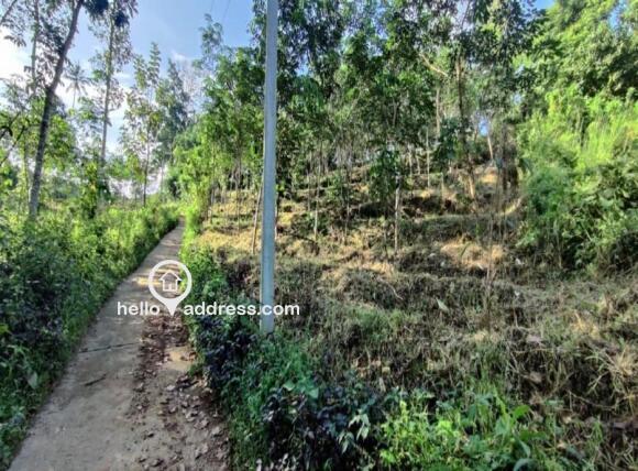 Agricultural Land for Sale