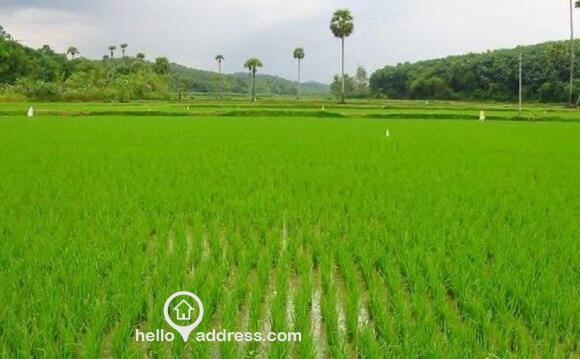 Agricultural Land for Sale
