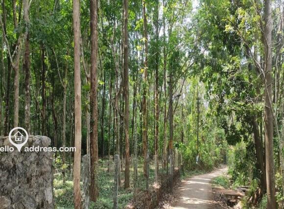 Residential Land for Sale