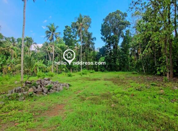 Commercial Land for Sale