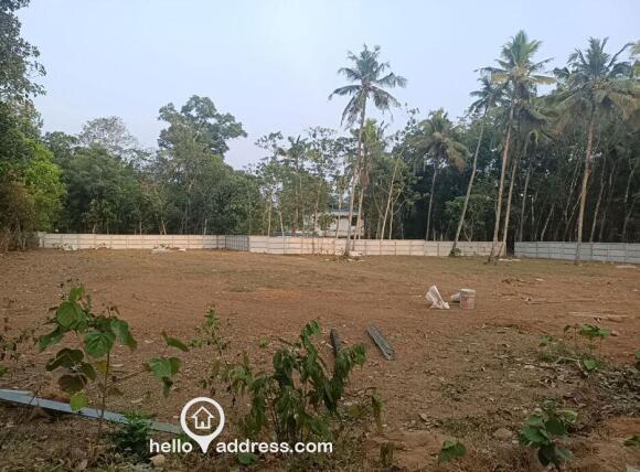 50 cents residential plot for sale