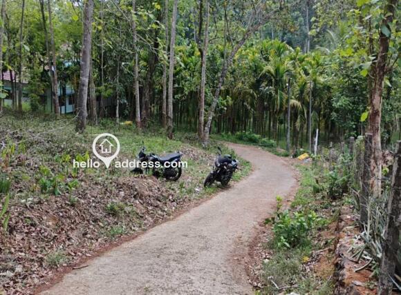 കൃഷി ഭൂമി വില്പനയ്ക്ക് 