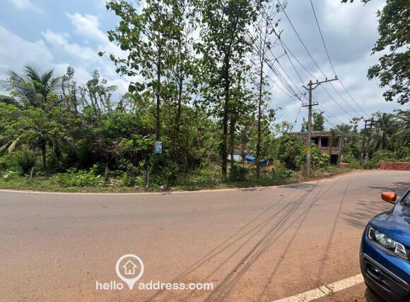 Plot View from Main Road