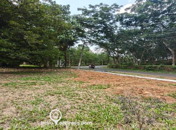 Commercial Land for Sale