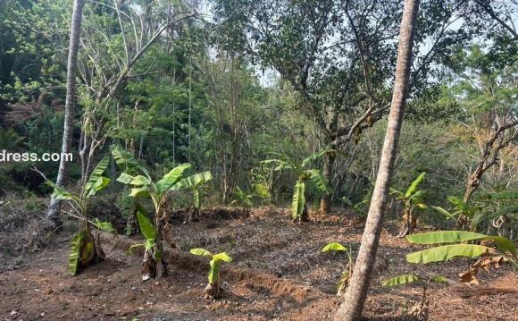 Residential Land for Sale