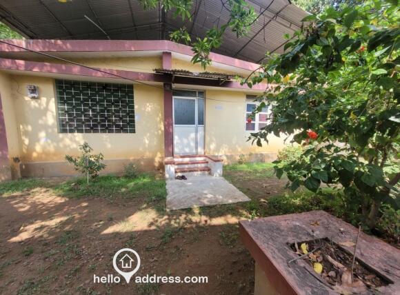 13 Cent Premium Residential Plot with Traditional House in Asokapuram, Aluva